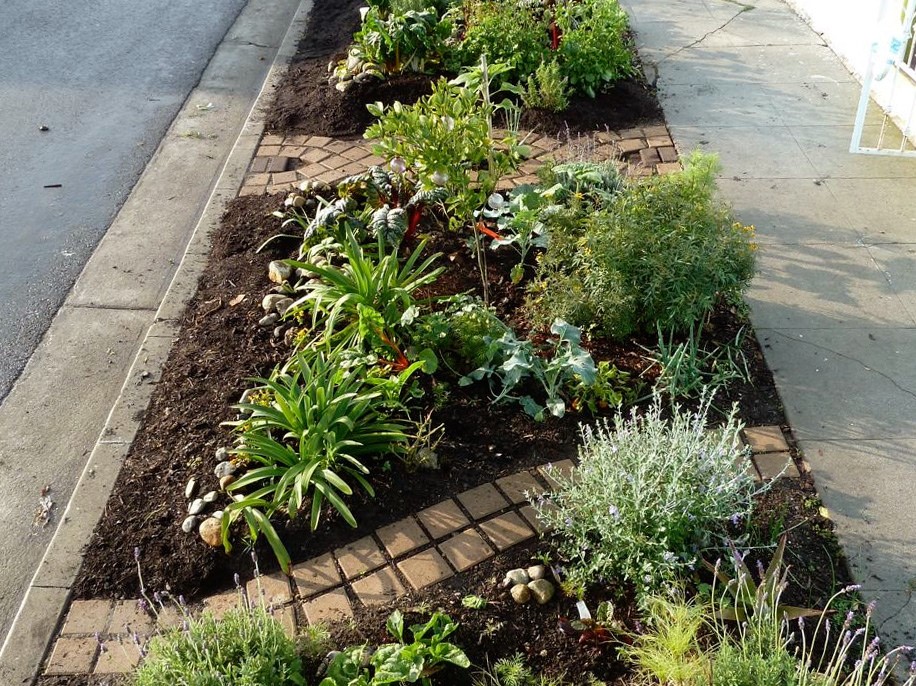 Sidewalk Landscaping